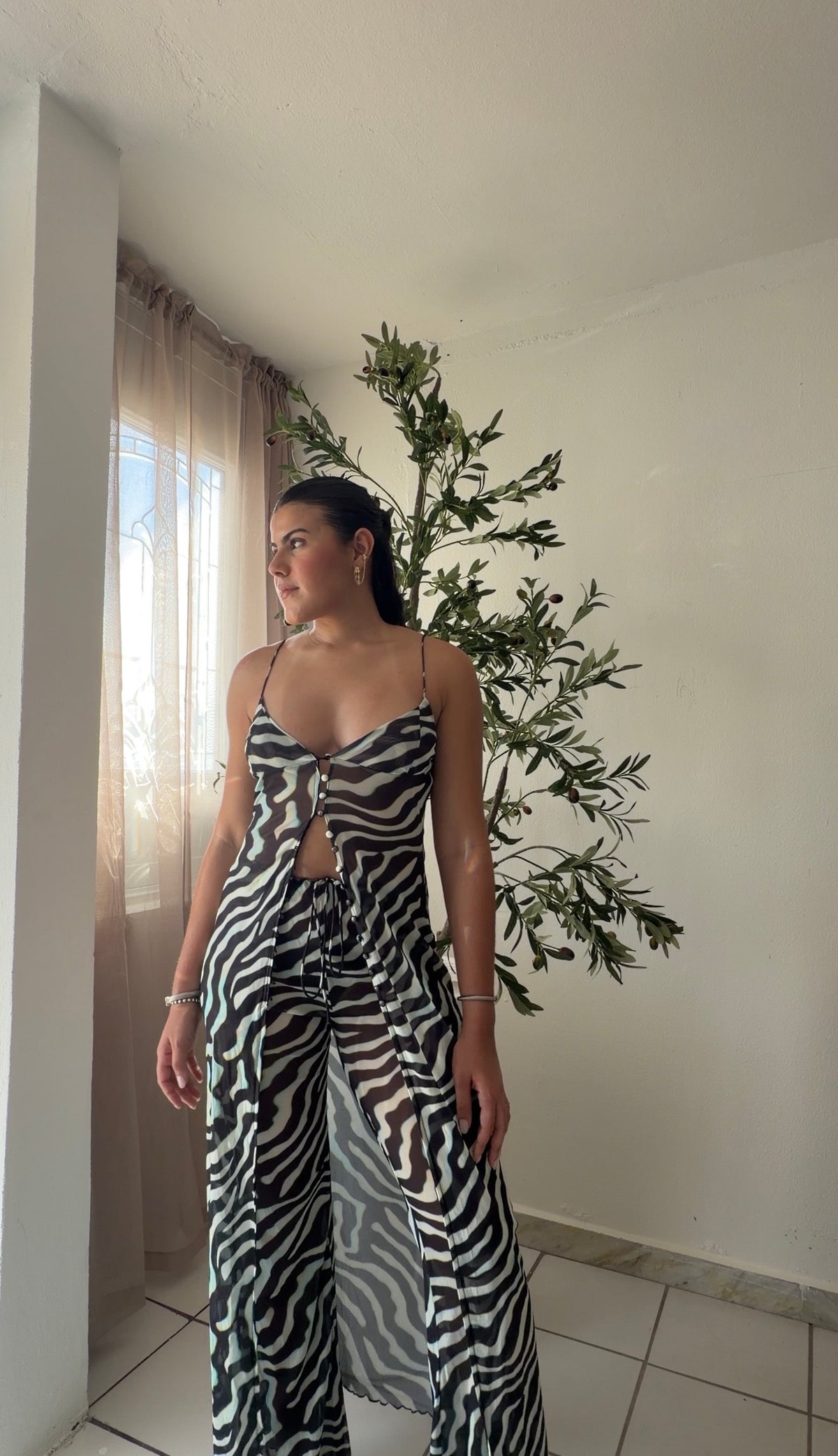 Zebra Set