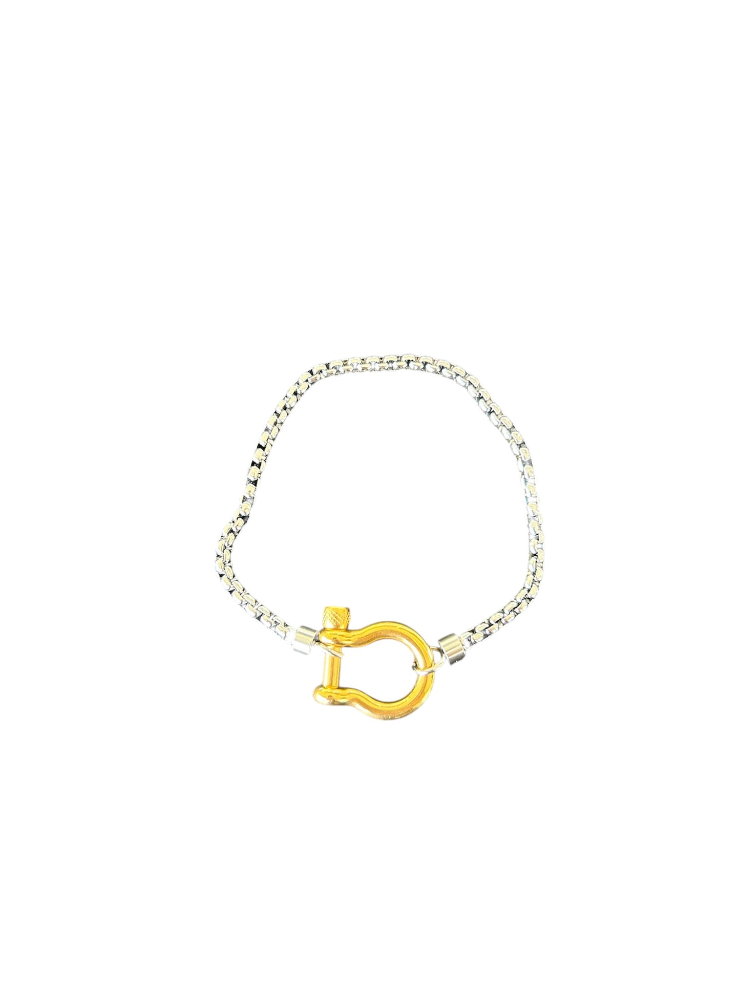 Buckle bracelet