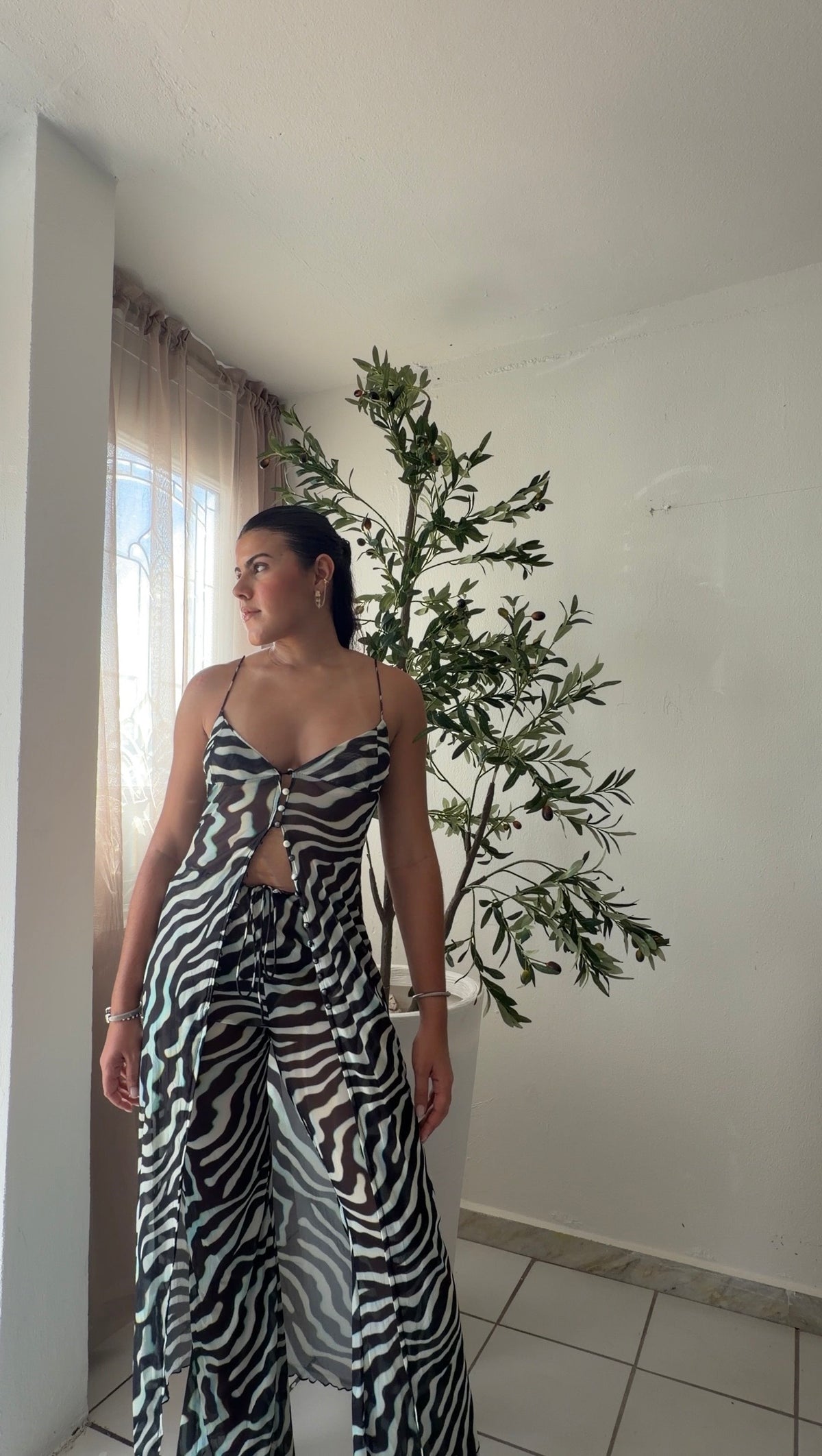 Zebra Set