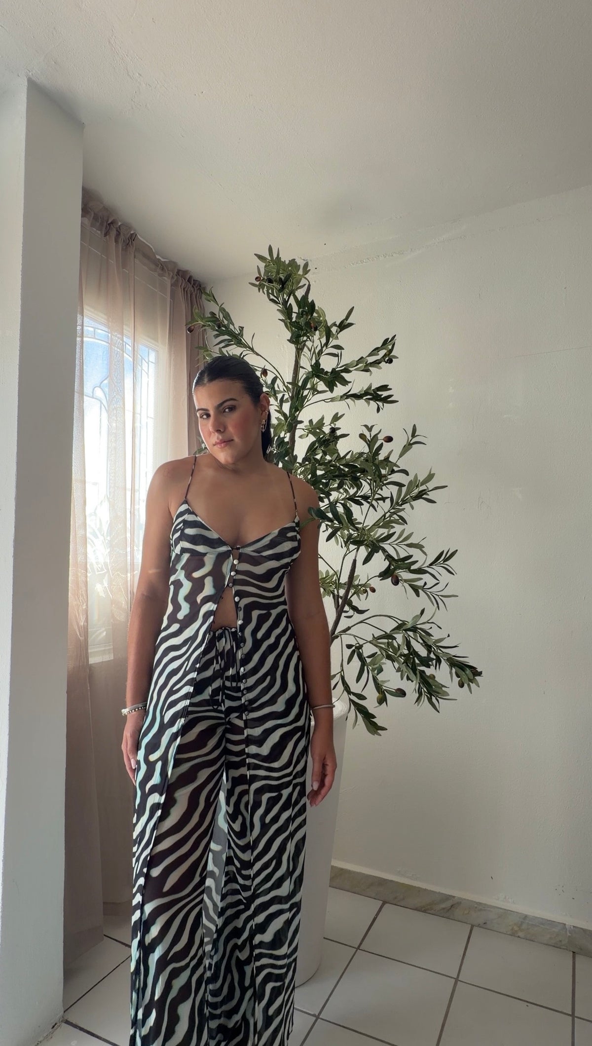 Zebra Set