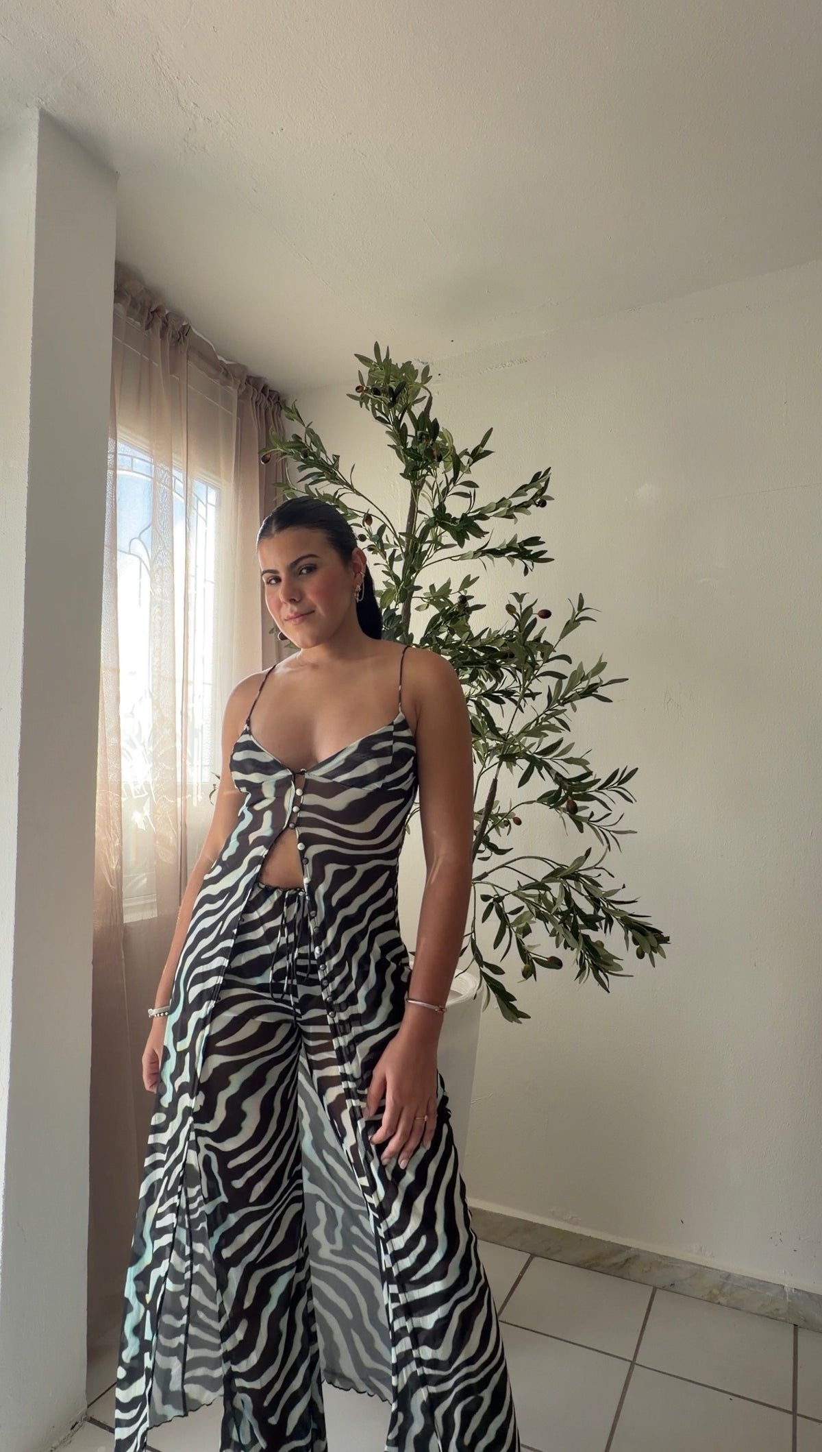Zebra Set